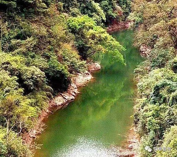 逃出猫头鹰岛